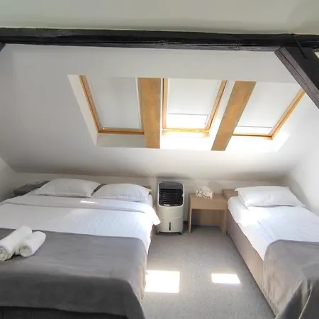 Family Fewo Guest house Sibiu